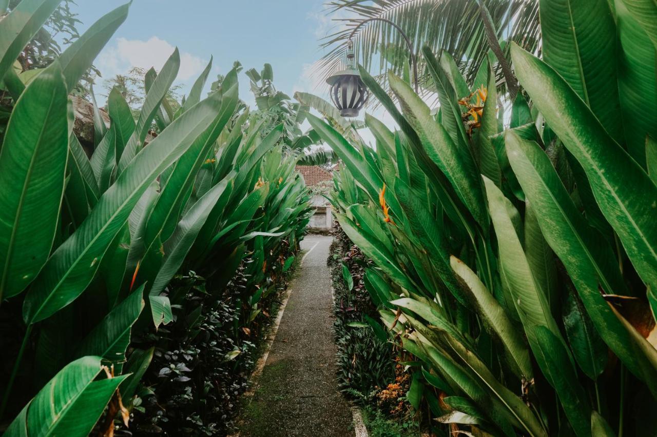 Anggira Villa Ubud Kültér fotó